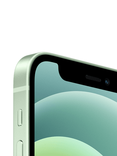 iPhone 12 mini 64GB grün Rückseite